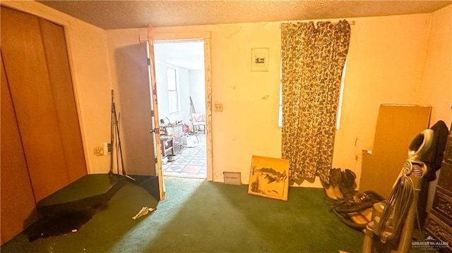 816 N Carlson St, Elsa, TX 78543 - miscellaneous room with carpet floors and a textured ceiling