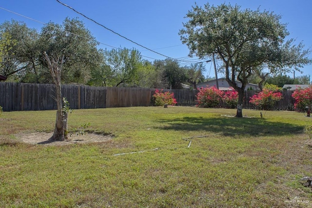 view of yard