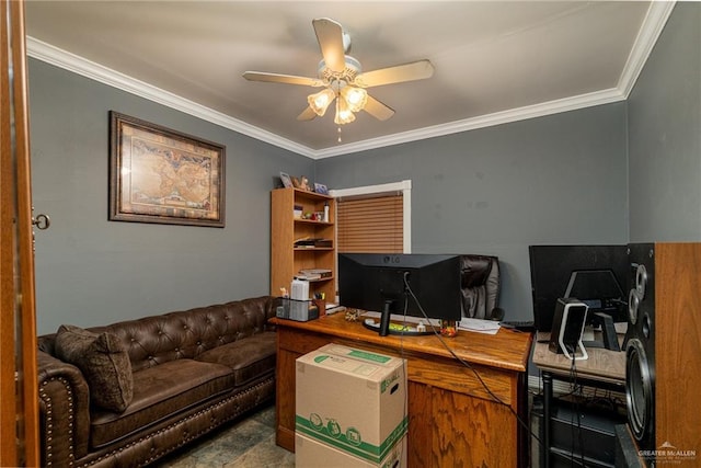 949 S Gumwood St, La Villa, TX 78562 - home office featuring a ceiling fan and crown molding