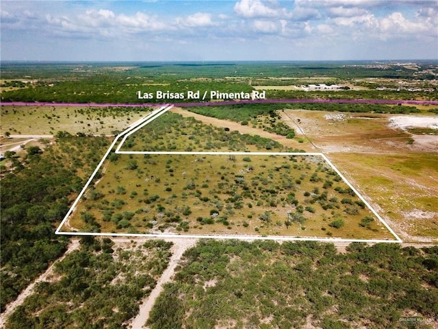 Listing photo 3 for LOT1 Nikki Rd, Rio Grande City TX 78582