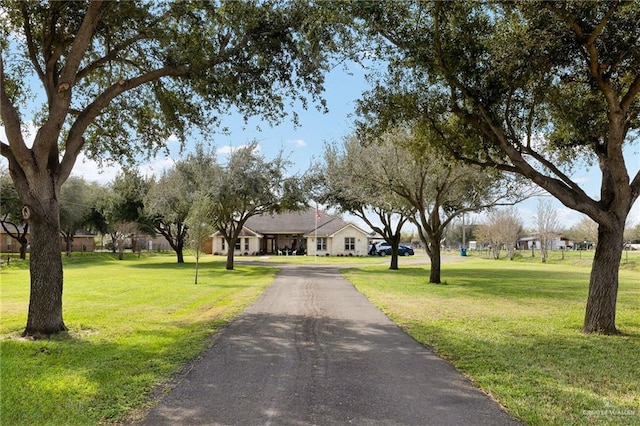 view of home's community with a yard