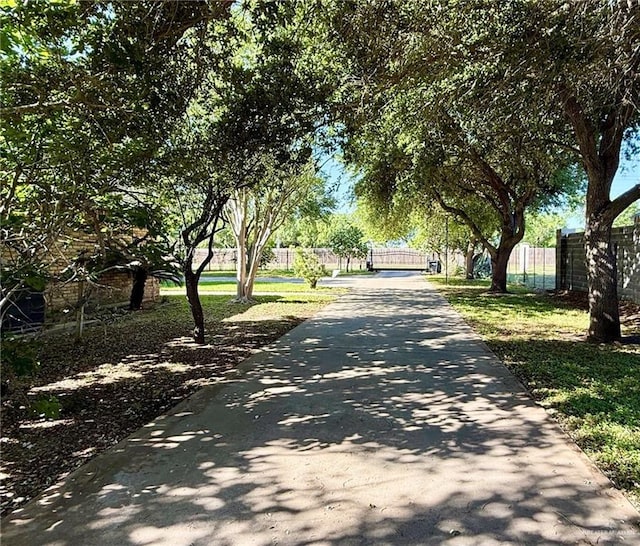6101 Mile 7 Rd, Mission, TX 78573 - view of asphalt driveway