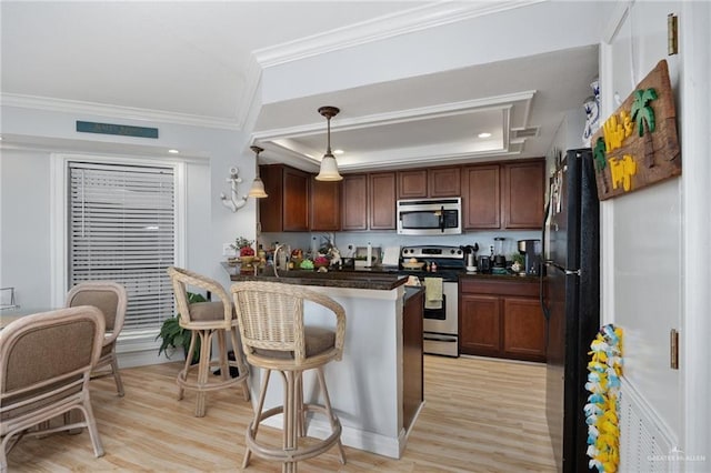 kitchen with pendant lighting, a raised ceiling, crown molding, light hardwood / wood-style floors, and stainless steel appliances