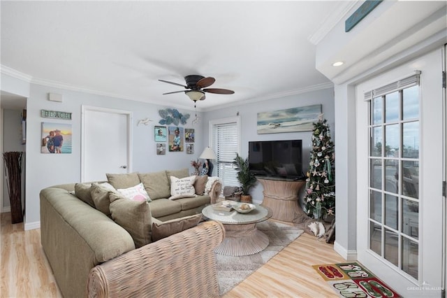 living room featuring ceiling fan, light hardwood / wood-style floors, and crown molding