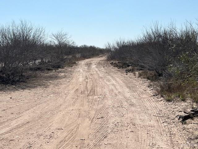 Listing photo 3 for 126AC Fm 2687, Zapata TX 78076