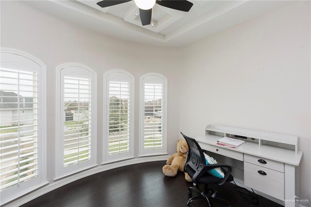 office area with a tray ceiling, ceiling fan, and hardwood / wood-style floors