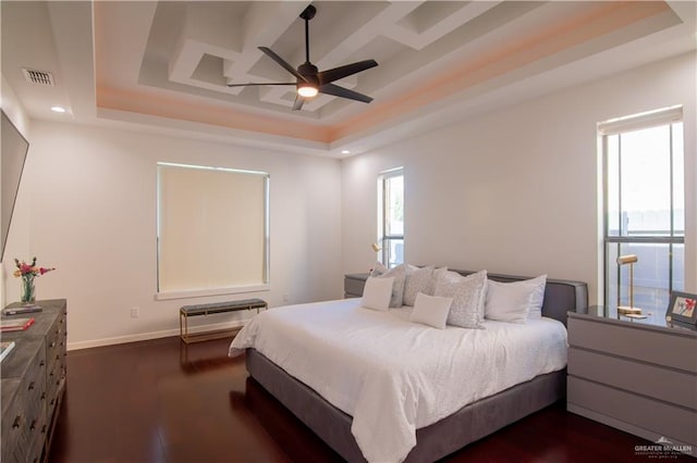 bedroom with a raised ceiling, multiple windows, ceiling fan, and dark hardwood / wood-style flooring