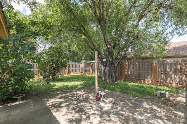 2908 Pecan Ave, Mcallen, TX 78501 - photo 16