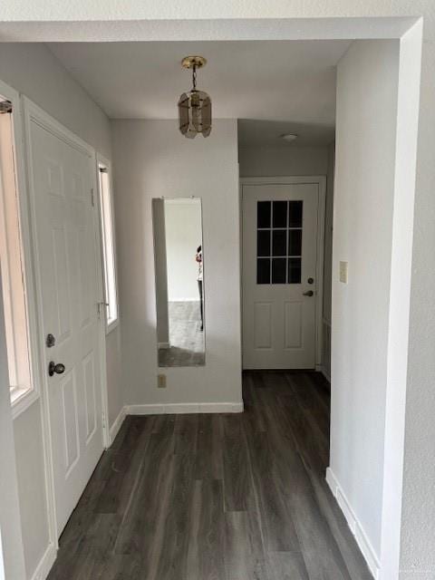 foyer featuring dark hardwood / wood-style floors and a wealth of natural light