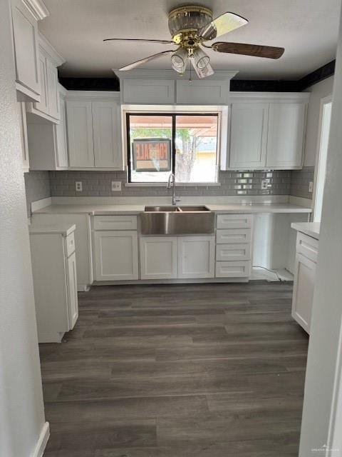 kitchen featuring white cabinets, tasteful backsplash, dark wood-type flooring, and sink