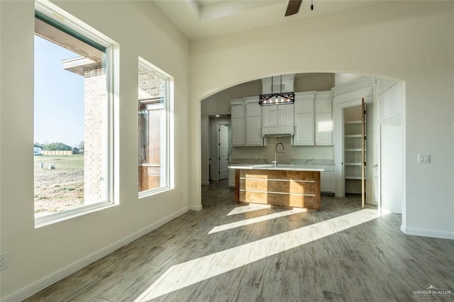 kitchen featuring ceiling fan, a kitchen island with sink, sink, decorative light fixtures, and light hardwood / wood-style floors