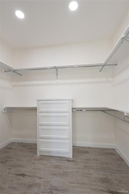 spacious closet featuring dark wood-type flooring