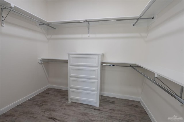 spacious closet featuring dark hardwood / wood-style floors