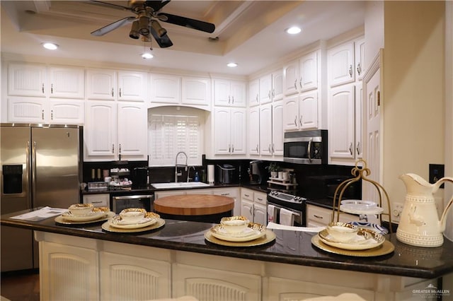 12431 Ware Rd, Edinburg, TX 78541 - kitchen featuring a ceiling fan, a sink, a tray ceiling, white cabinetry, and stainless steel appliances