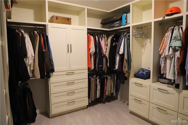12431 Ware Rd, Edinburg, TX 78541 - view of walk in closet