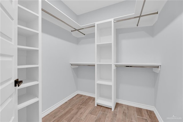 spacious closet with wood-type flooring