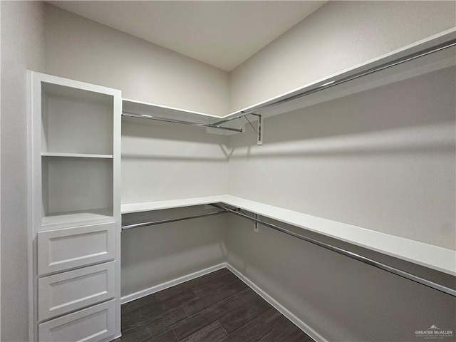 walk in closet featuring dark wood finished floors