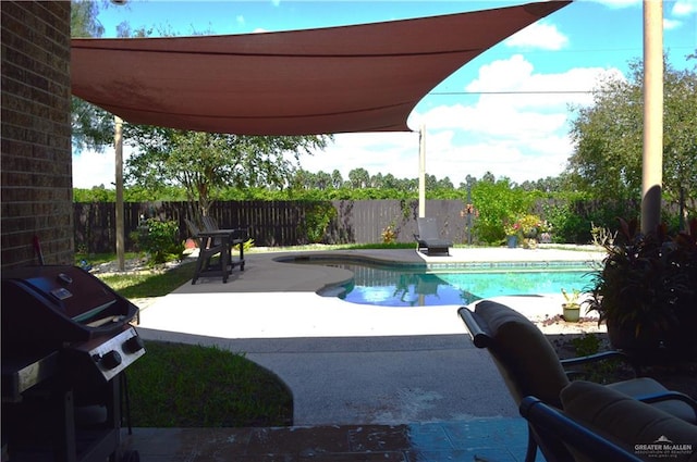 view of pool with grilling area and a patio area