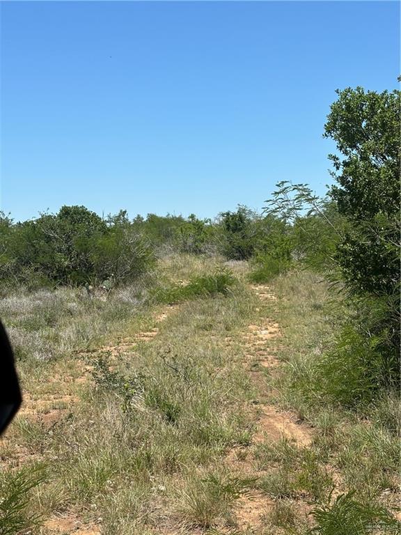 TRACT19 Spur, San Diego, TX 78332