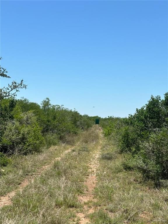 TRACT19 Spur, San Diego, TX 78332