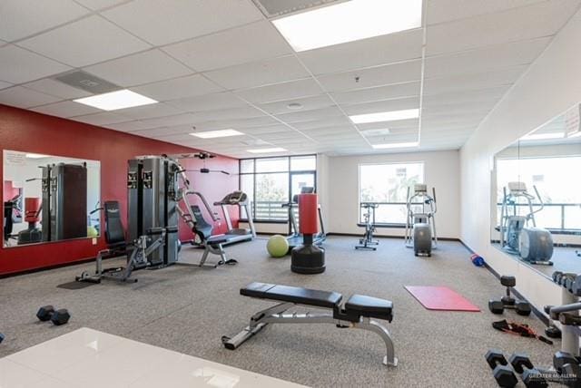 813 Travis St Unit 205, Mission, TX 78572 - gym featuring carpet flooring and a drop ceiling