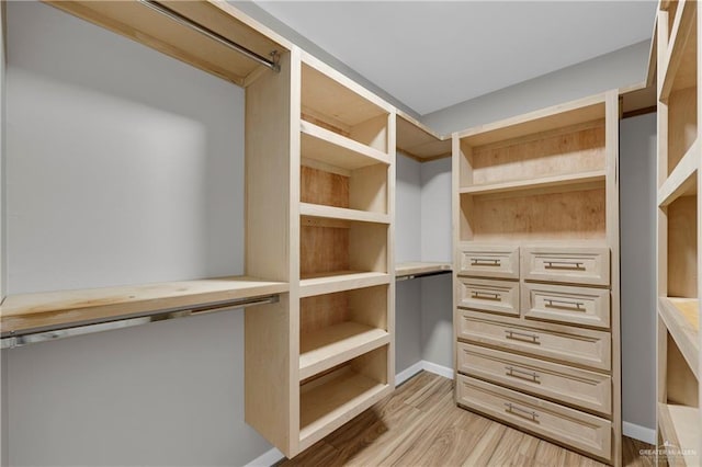 spacious closet with light wood-type flooring