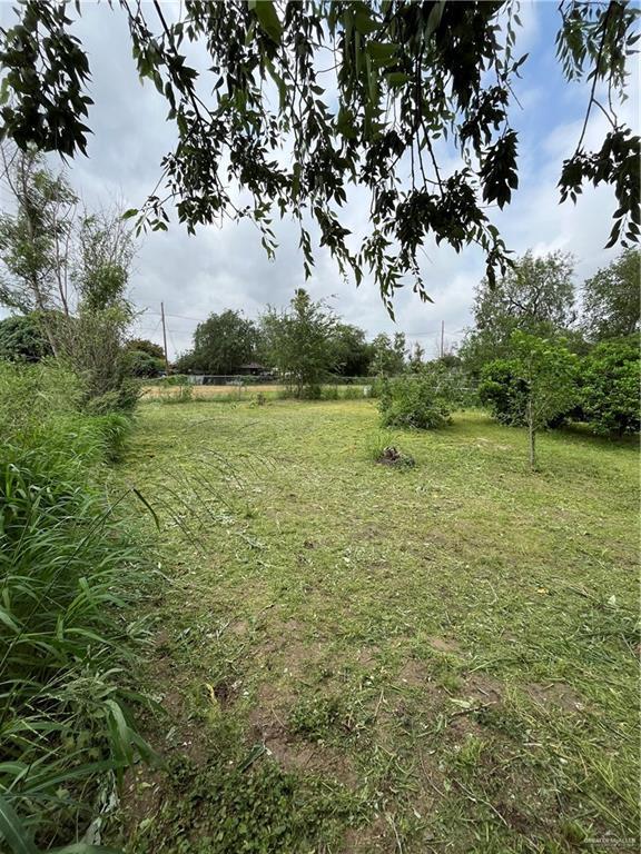 2322 E La Pointe Ave, Alton, TX 78573 - view of yard