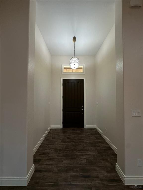 doorway to outside with dark hardwood / wood-style flooring