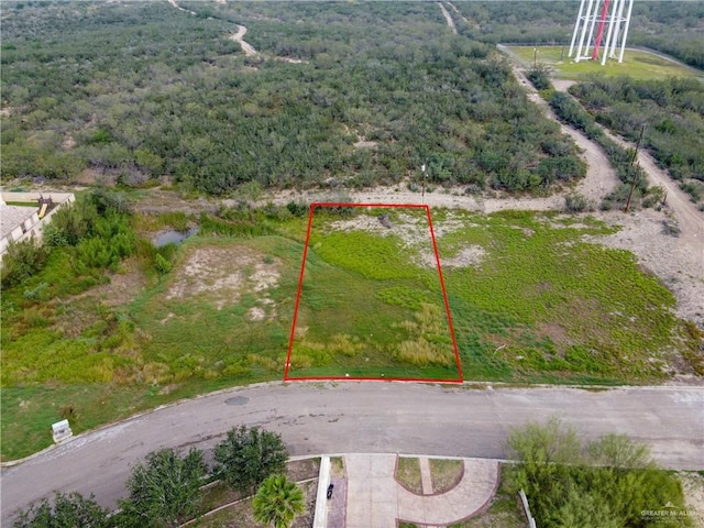 00 Dr Mario E Ramirez Ave, Roma TX, 78584 land for sale