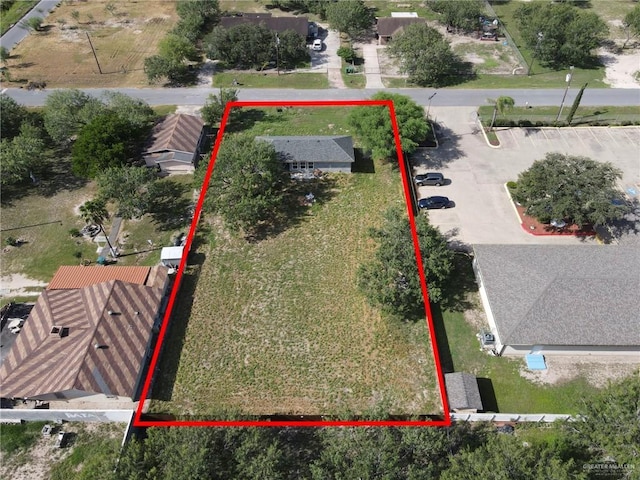 1210 W Denny Dr, Pharr, TX 78577 - photo 9