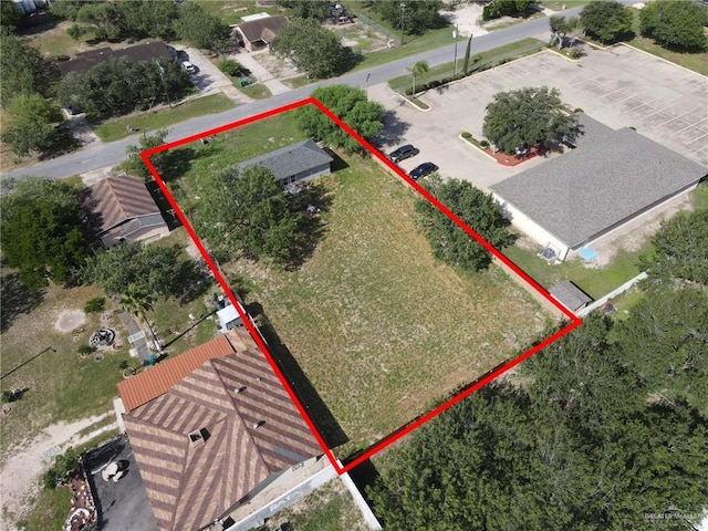 1210 W Denny Dr, Pharr, TX 78577 - photo 10