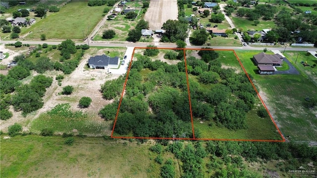 000 Monte Cristo Heights Rd, Edinburg, TX 78541 - photo 5