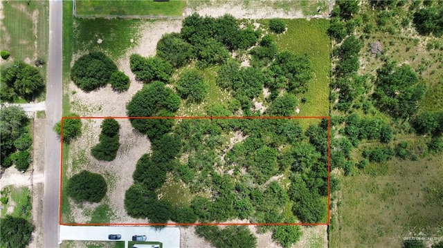 000 Monte Cristo Heights Rd, Edinburg TX, 78541 land for sale