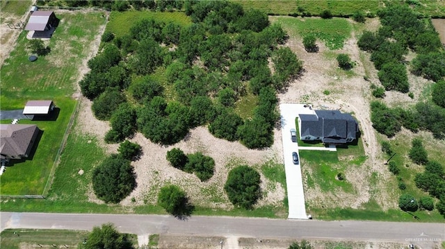 000 Monte Cristo Heights Rd, Edinburg, TX 78541 - photo 6