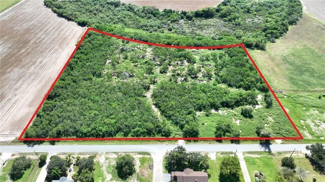 20250 Morris Rd, Harlingen, TX 78552 - photo 2