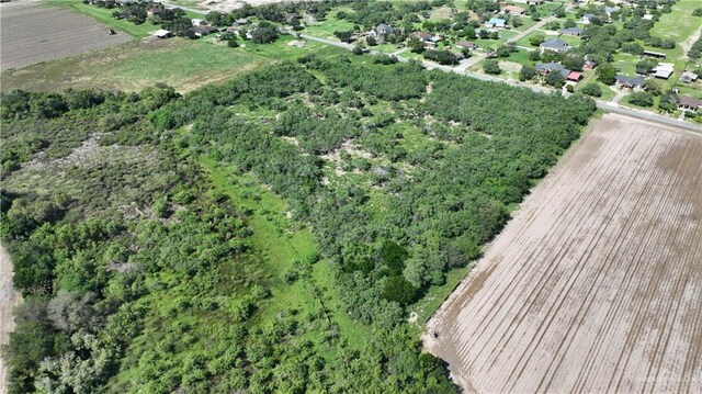 20250 Morris Rd, Harlingen, TX 78552 - photo 8