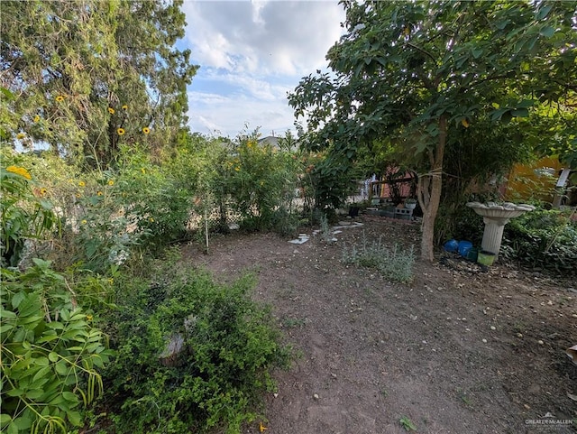 720 27 1/2 St, Mcallen, TX 78501 - view of yard
