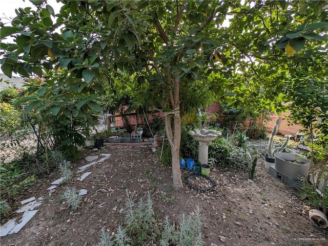 720 27 1/2 St, Mcallen, TX 78501 - view of yard
