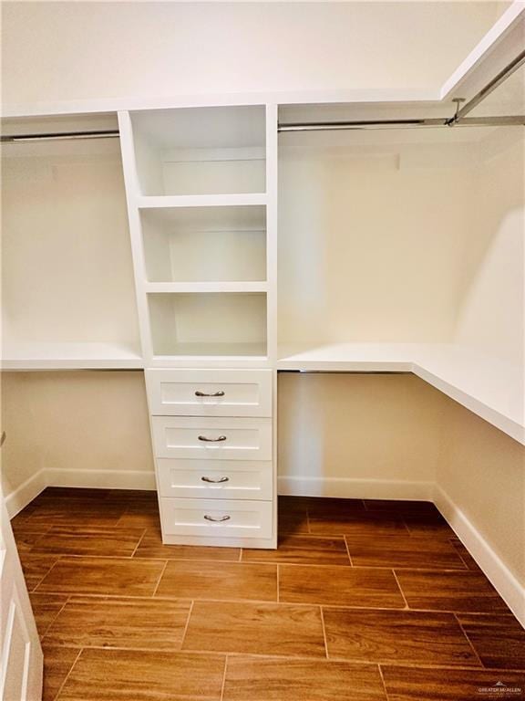 spacious closet with wood-type flooring