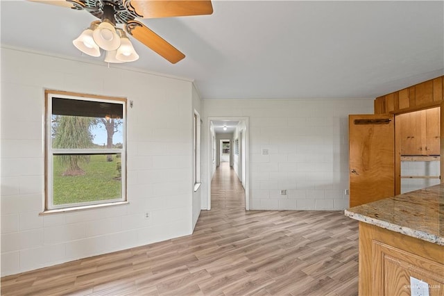 unfurnished room featuring ceiling fan and light hardwood / wood-style floors