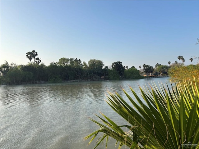 1060 Timothy St, San Benito, TX 78586 - water view