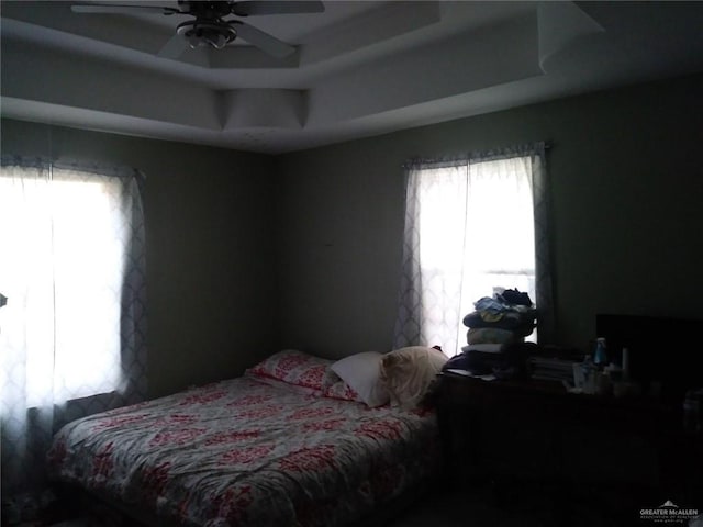 bedroom featuring multiple windows, a tray ceiling, and ceiling fan