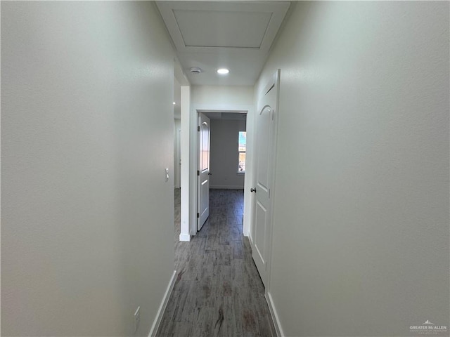 corridor with dark hardwood / wood-style flooring