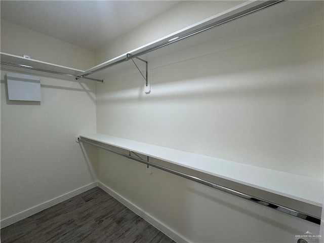 walk in closet featuring dark hardwood / wood-style flooring