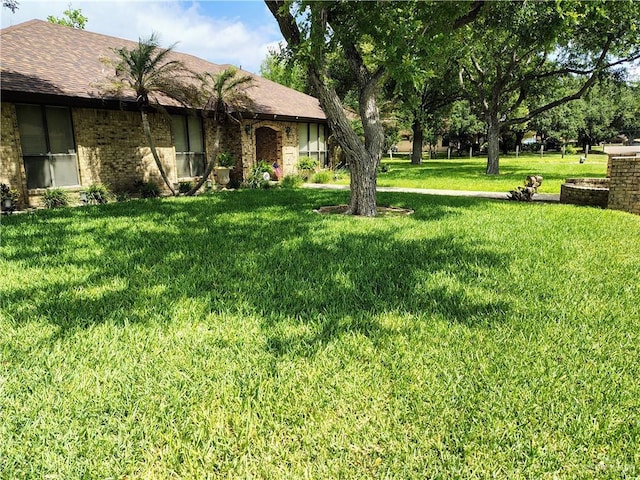 702 Clifford Dr, Weslaco, TX 78596 - view of grassy yard