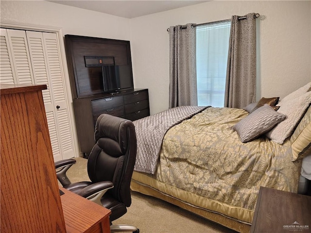 702 Clifford Dr, Weslaco, TX 78596 - bedroom featuring carpet and a closet