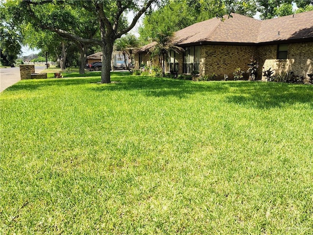 702 Clifford Dr, Weslaco, TX 78596 - view of grassy yard