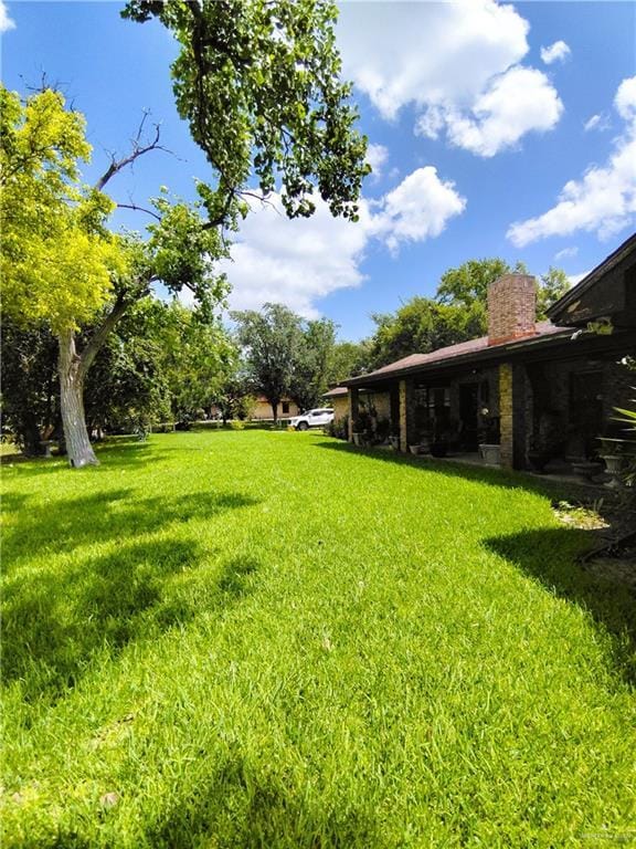 702 Clifford Dr, Weslaco, TX 78596 - view of green lawn
