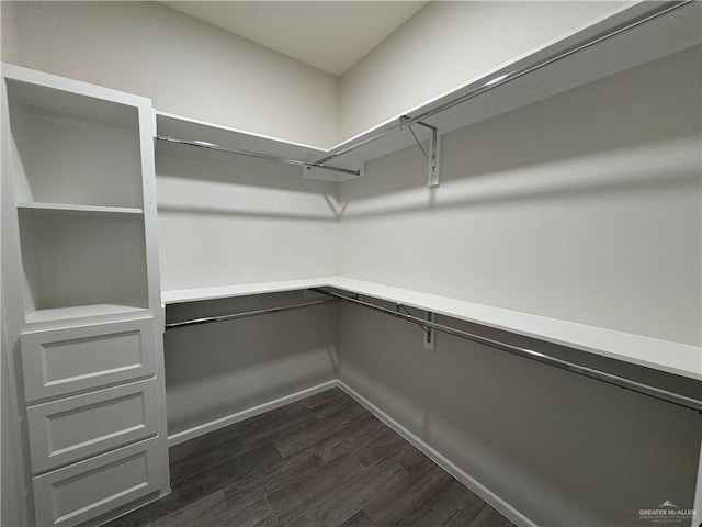 walk in closet with dark wood-type flooring