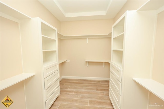 spacious closet with a tray ceiling